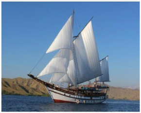 Natadiraja Phinisi Vacation Live On Board Komodo